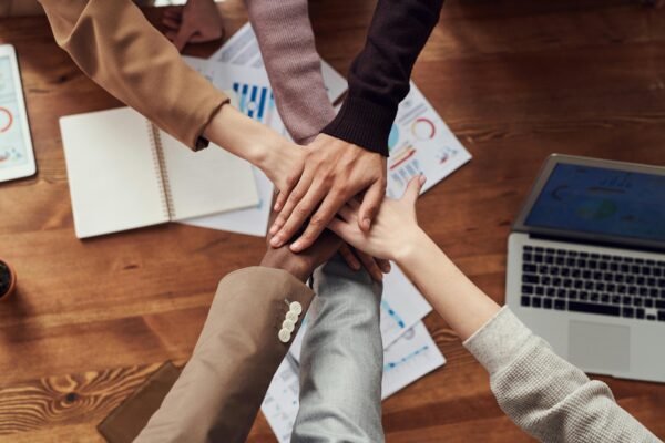 Diversity: An Introduction to its meaning and importance in the workplace.